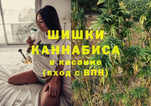 МДПВ Горняк