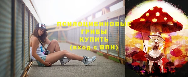МДПВ Горняк