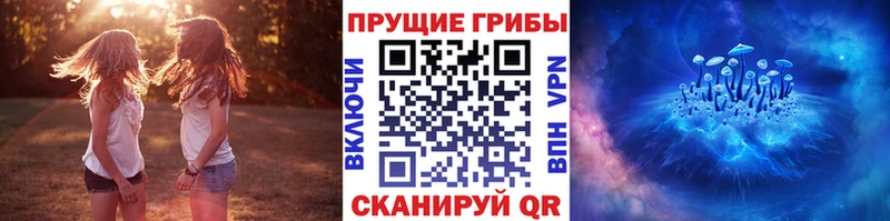 ссылка на мегу зеркало  Емва  Галлюциногенные грибы мухоморы 